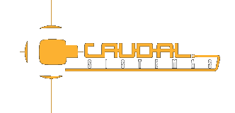 Logotipo de Caudal Sistemas
